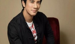 歌手王力宏的爆料视频,独家爆料背后的故事